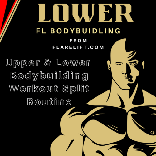 Bodybuilding Ebook Upper Lower Split routine